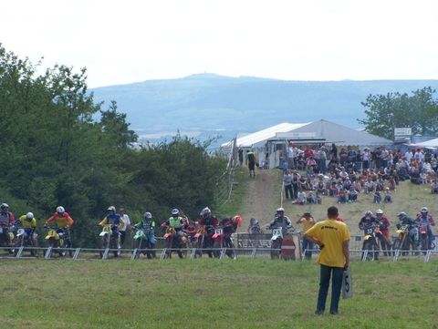 Moorgrund Bild 4