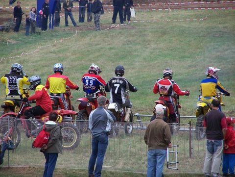 Moorgrund Bild 17